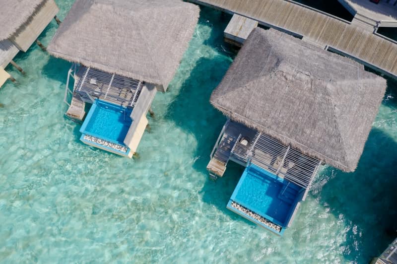 Dolphin Villa with Pool