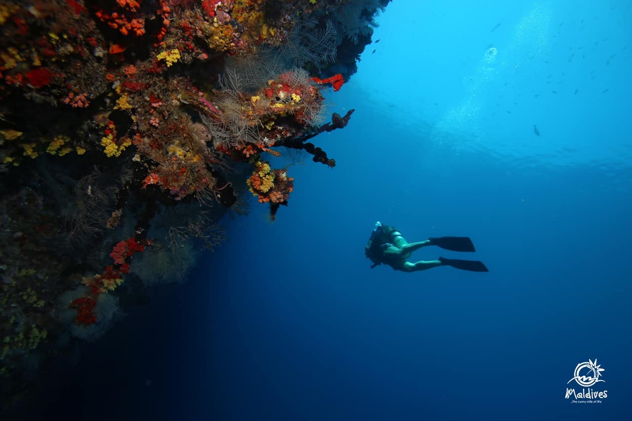 Shipwrecks