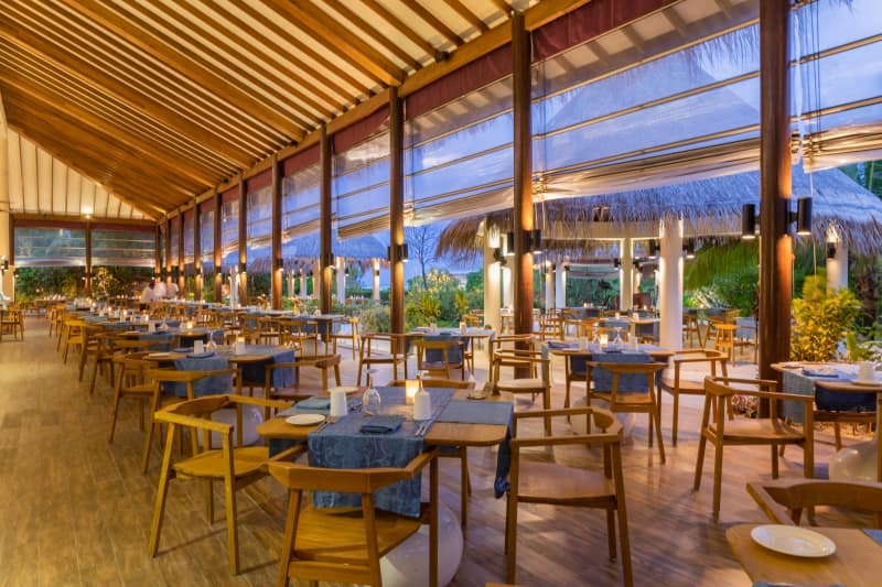 Octopus Restaurant